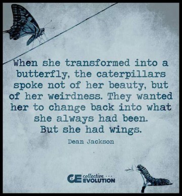 Dean_Jackson_butterfly_quote_
