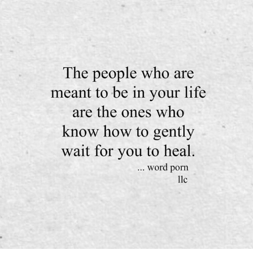 the-people-who-are-meant-to-be-in-your-life-31911749